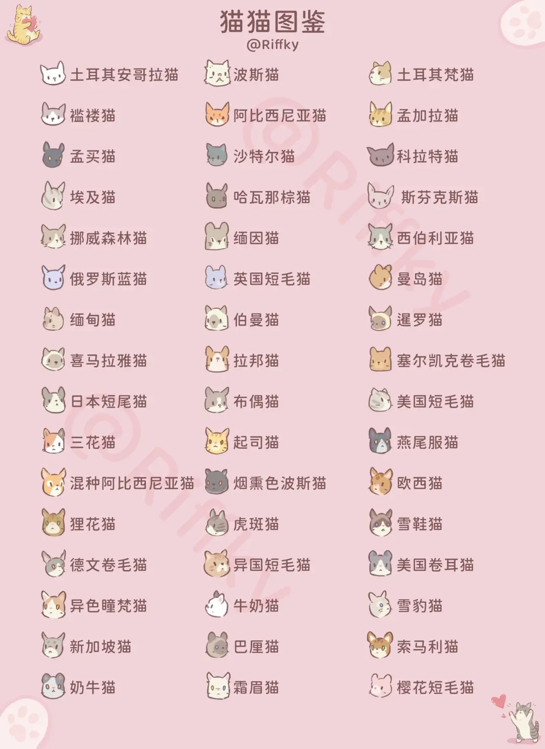 猫咪和汤
