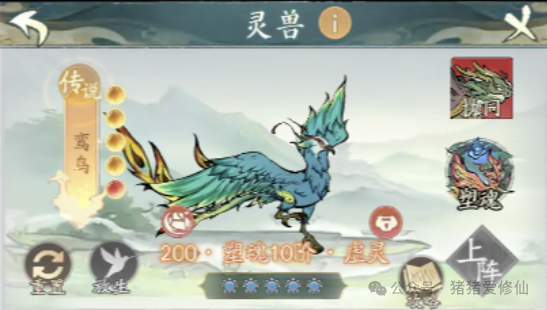 寻道大千云韵流派搭配推荐