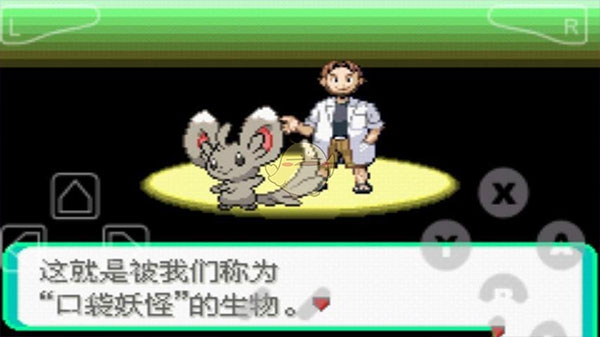 口袋妖怪漆黑的魅影截图4