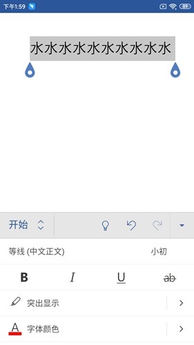 Microsoft Word6