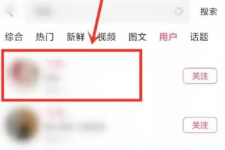 皮皮虾
