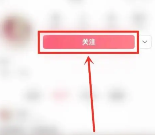 皮皮虾