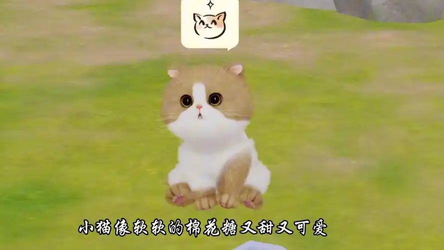 云养猫app