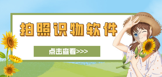 拍照识物
