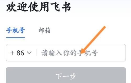 飞书