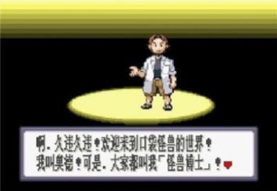 口袋妖怪蓝宝石截图2