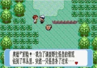 口袋妖怪蓝宝石截图4