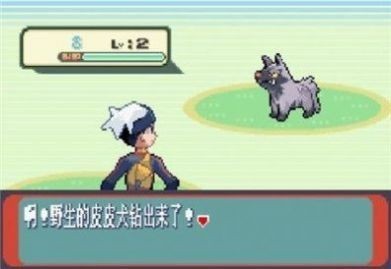 口袋妖怪蓝宝石截图5