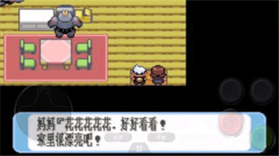 口袋妖怪红宝石截图4