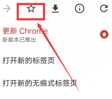 Google Chrome