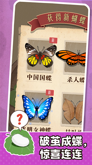 小小养蚕师截图4