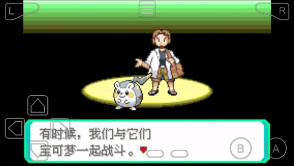 口袋妖怪究极绿宝石5截图4