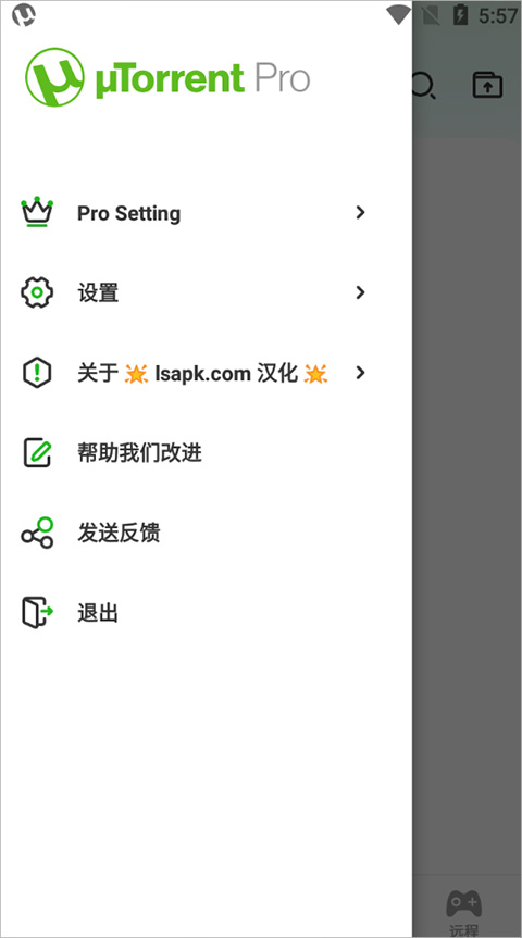 utorrentPro截图2