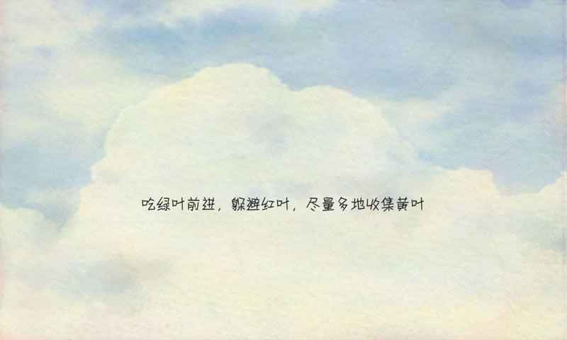 风子截图3