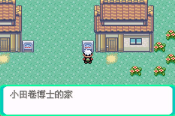 口袋妖怪传说绿宝石截图1