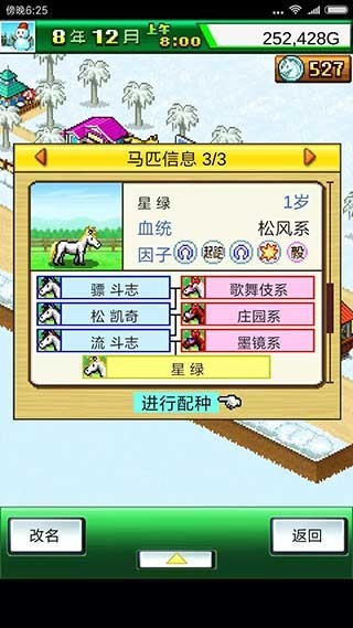 赛马牧场物语截图2