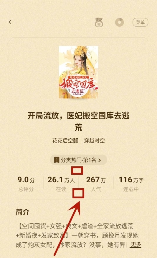 格子小说