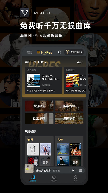 VIPER HiFi截图2