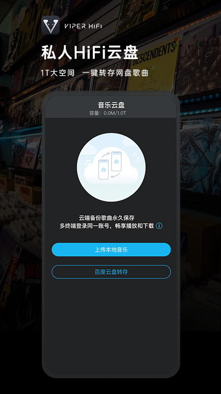 VIPER HiFi截图5