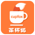 茶杯狐cupfox