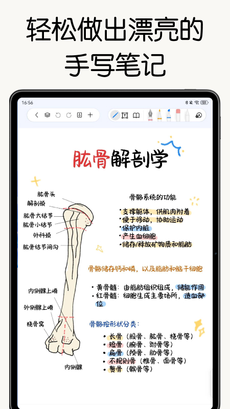 自由笔记截图1