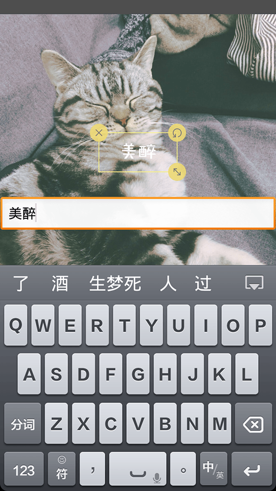 黄油相机