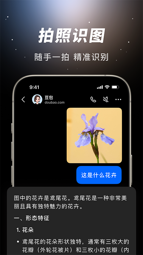 豆包ai