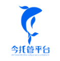 今托管