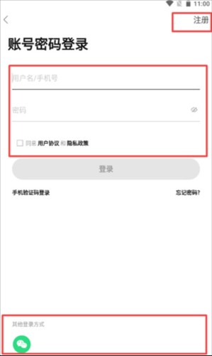 蒲公英2