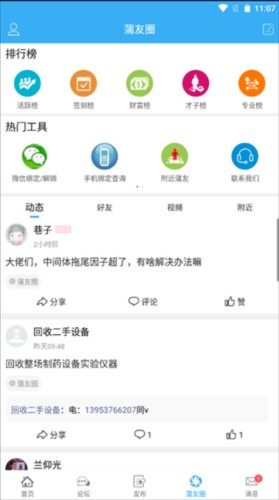 蒲公英5