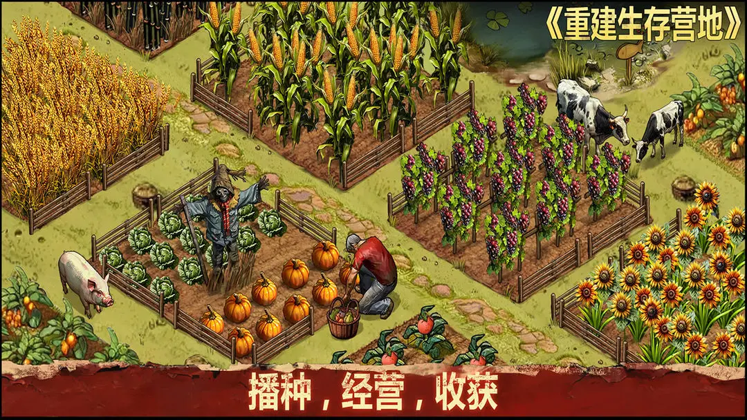 重建生存营地截图1