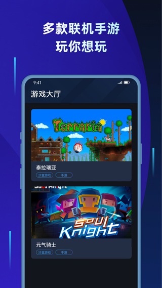 蒲公英联机截图2
