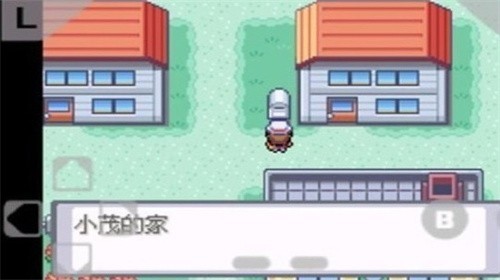 口袋妖怪火红截图3