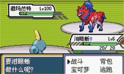 口袋妖怪永恒之沫截图3