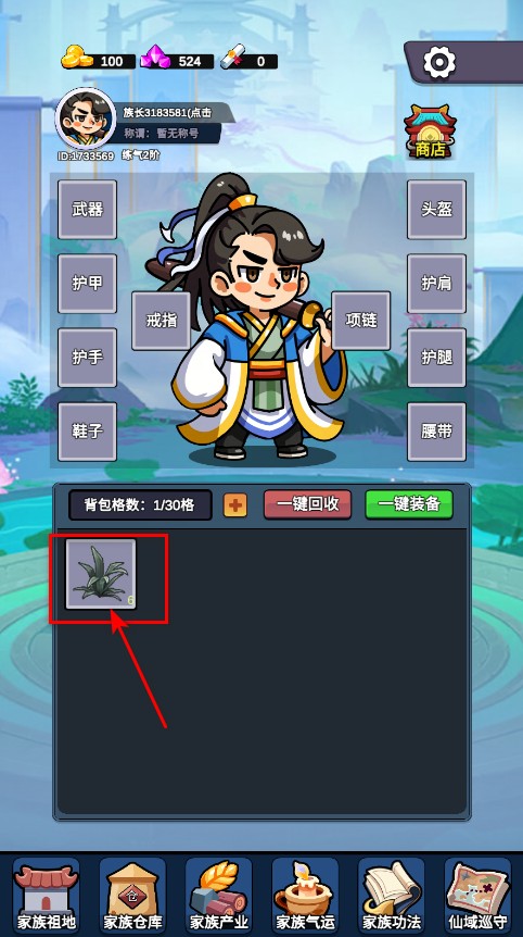 家族崛起与传承游戏