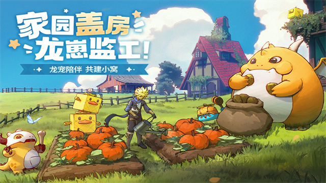 龙骑士学园截图5