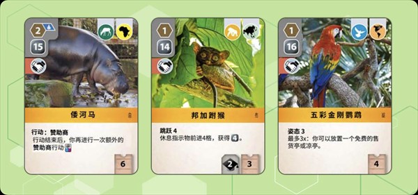 卡牌介绍
