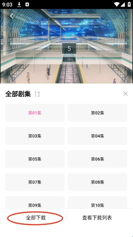 鸭梨鸭梨