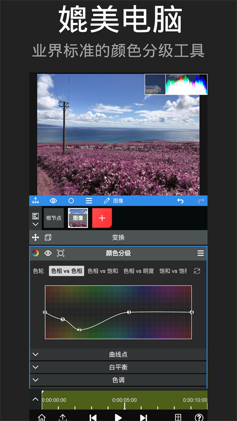 Node Video截图1