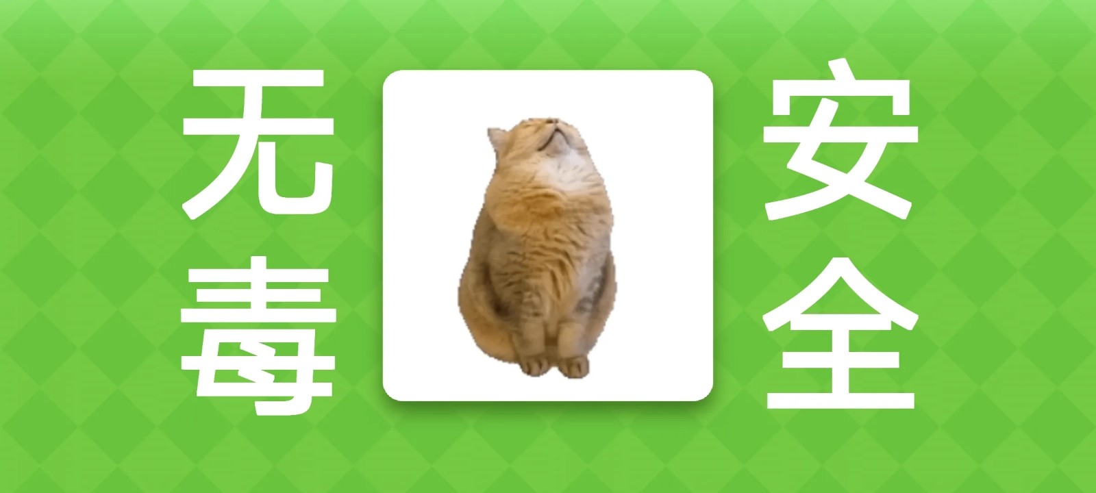 女巫的毒药猫Meme版截图1