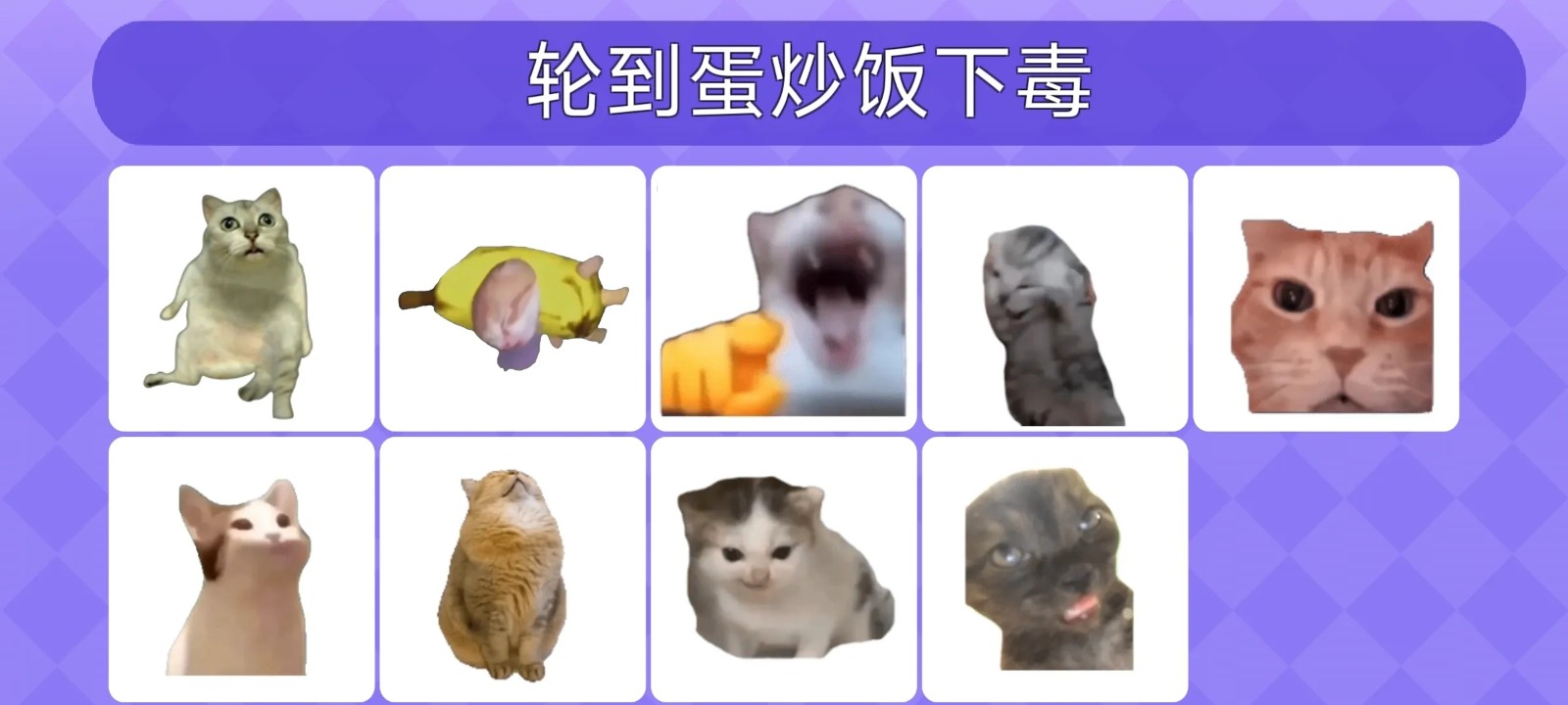 女巫的毒药猫Meme版截图3