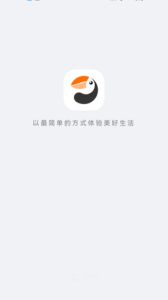 海雀截图1