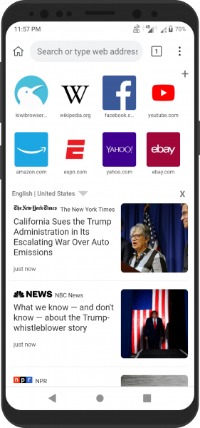 Kiwi Browser