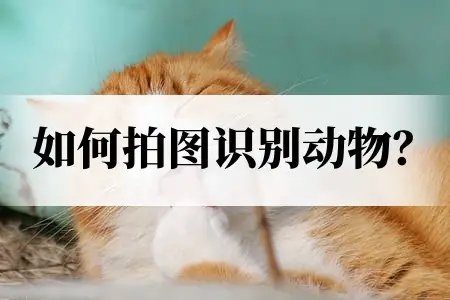 扫一扫识别图片找原图