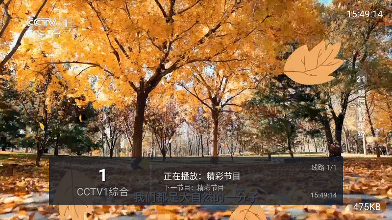 大米电视截图1